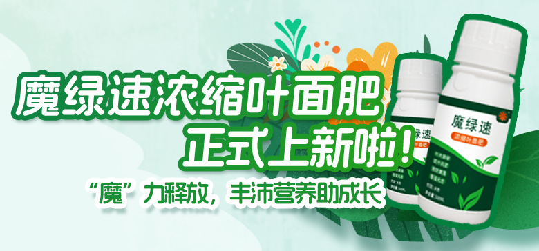 豐沛營養(yǎng)助成長！魔綠速濃縮葉面肥上新啦